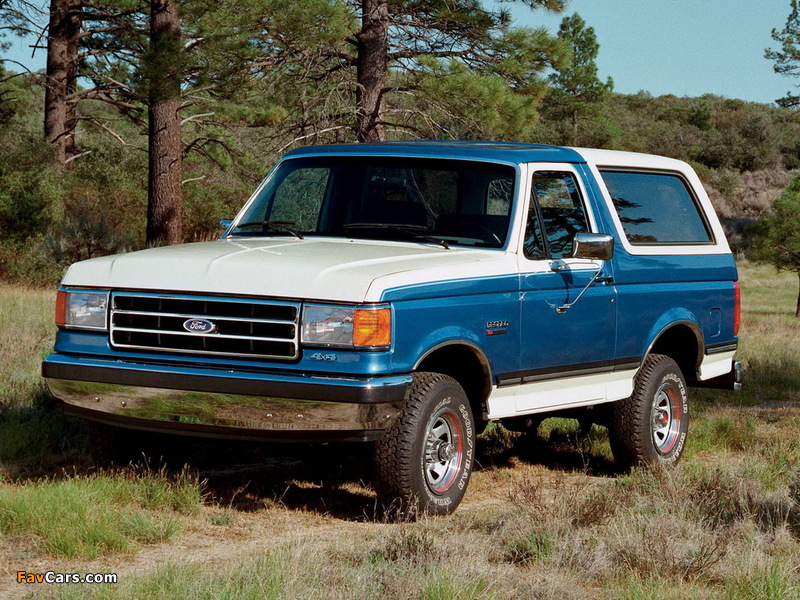 Pictures of Ford Bronco 1987–91 (800 x 600)