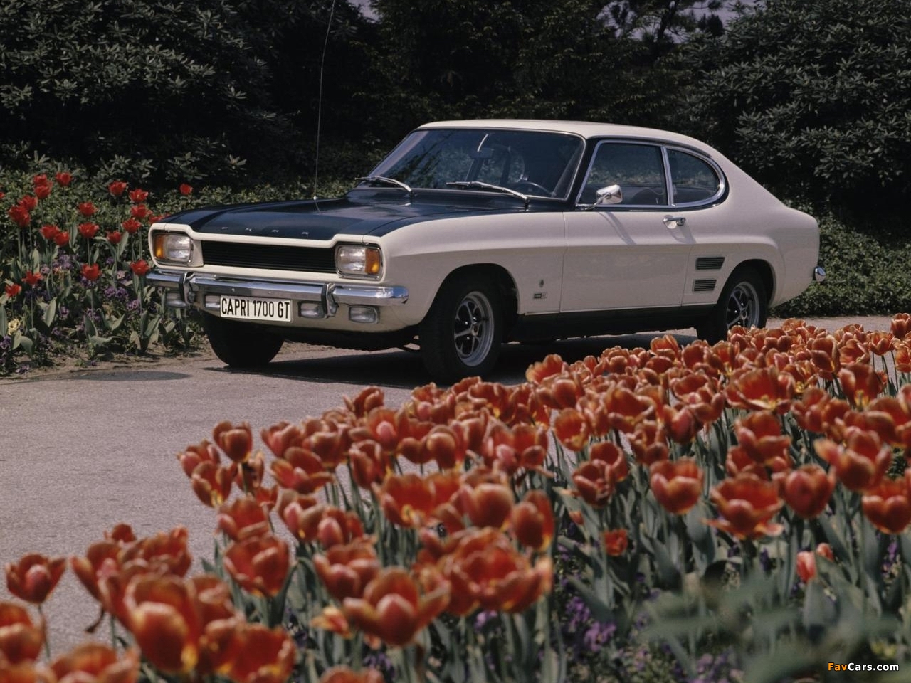 Photos of Ford Capri (I) 1972–74 (1280 x 960)