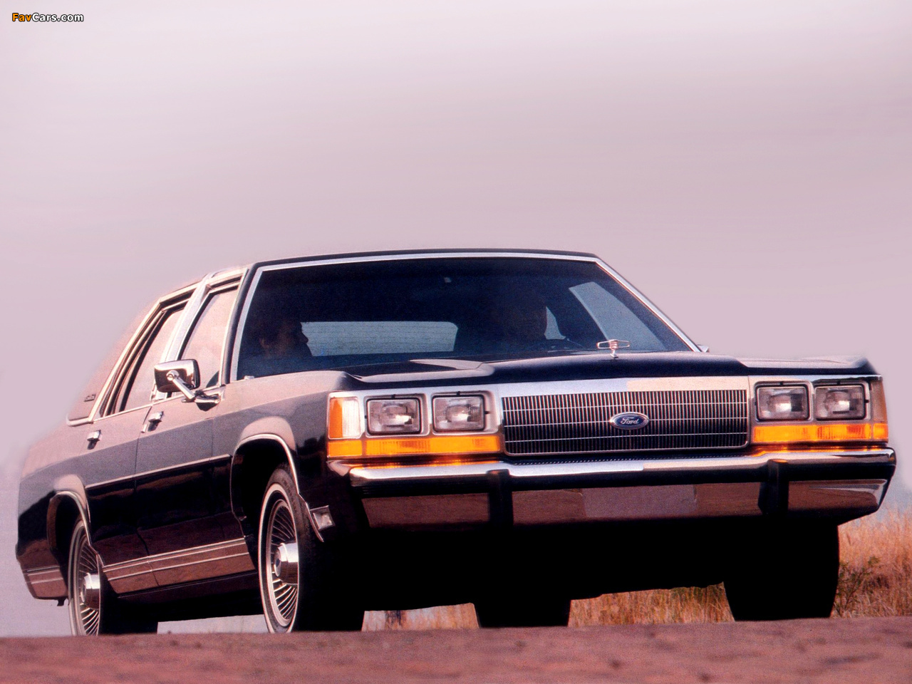 Photos of Ford LTD Crown Victoria 1988–91 (1280 x 960)