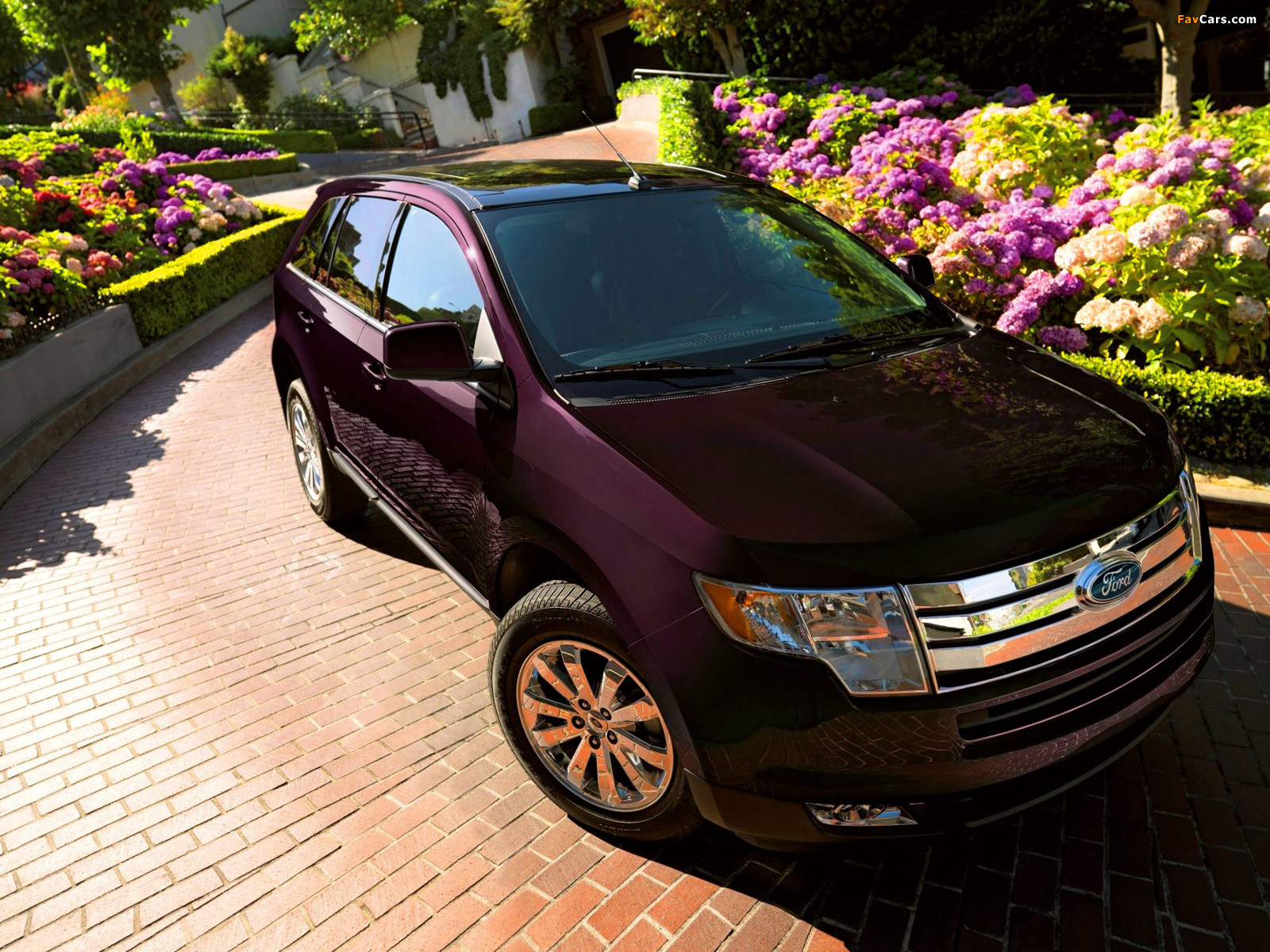 Images of Ford Edge 2007–10 (1600 x 1200)