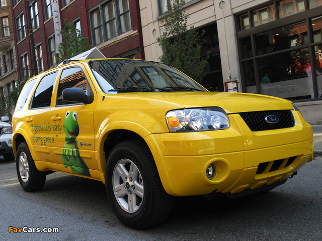 Ford Escape Hybrid Taxi 2005–07 pictures (640 x 480)