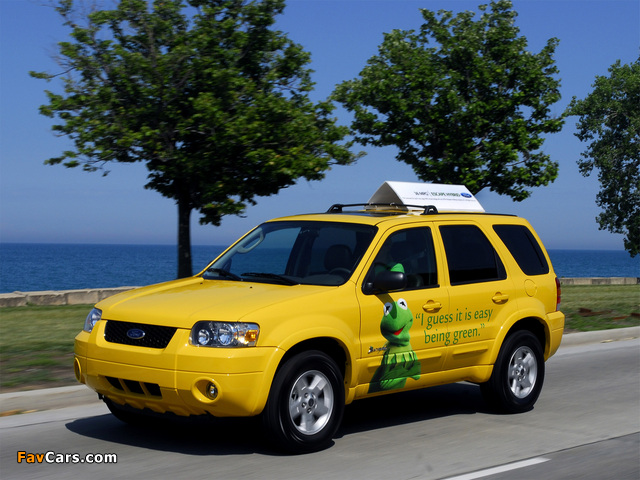 Ford Escape Hybrid Taxi 2005–07 wallpapers (640 x 480)