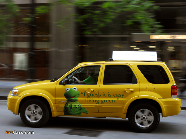 Images of Ford Escape Hybrid Taxi 2005–07 (640 x 480)