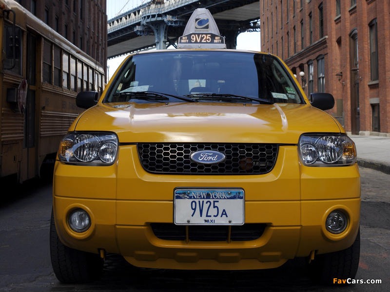 Images of Ford Escape Hybrid Taxi 2005–07 (800 x 600)