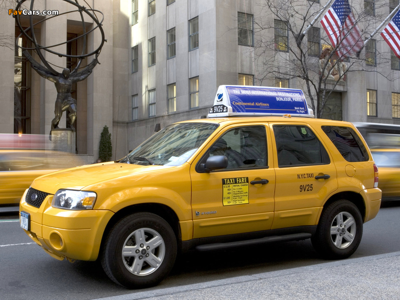 Photos of Ford Escape Hybrid Taxi 2005–07 (800 x 600)