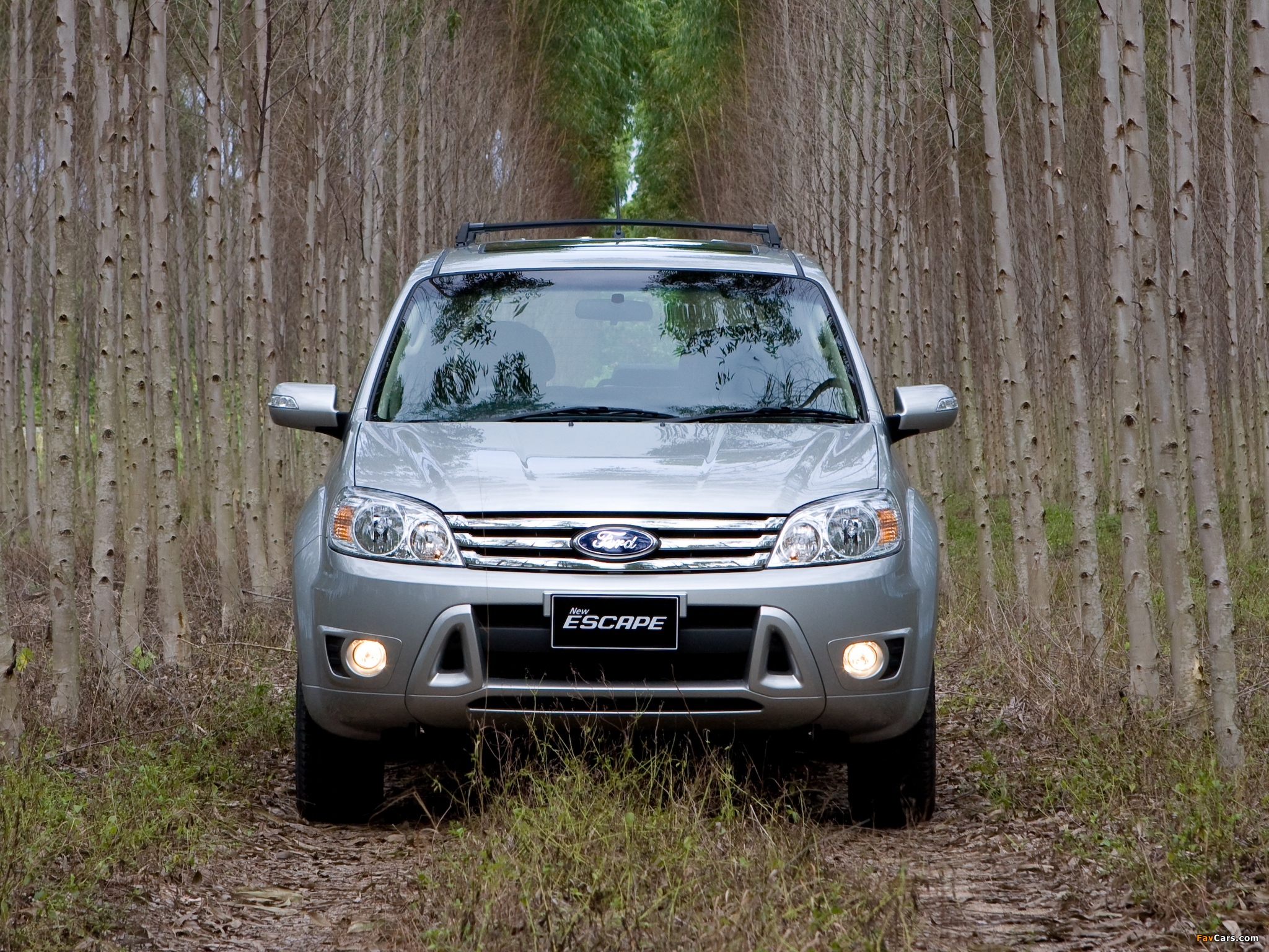 Форд эскейп 2008 года тайвань. Форд Эскейп 2008 г. Ford Escape 2008 тайванец. Форд Эскейп Тайвань 2008. Форд Ескапе 2008.