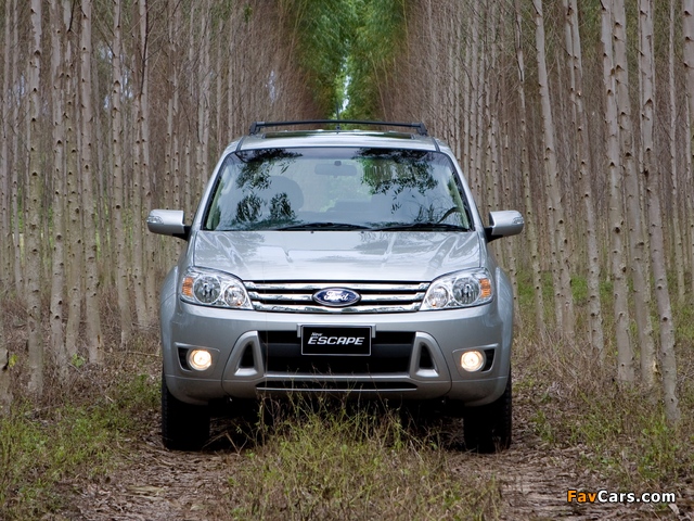 Photos of Ford Escape TH-spec (ZD) 2008–10 (640 x 480)
