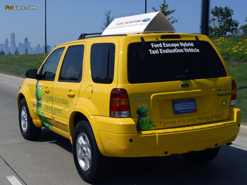 Pictures of Ford Escape Hybrid Taxi 2005–07 (800 x 600)