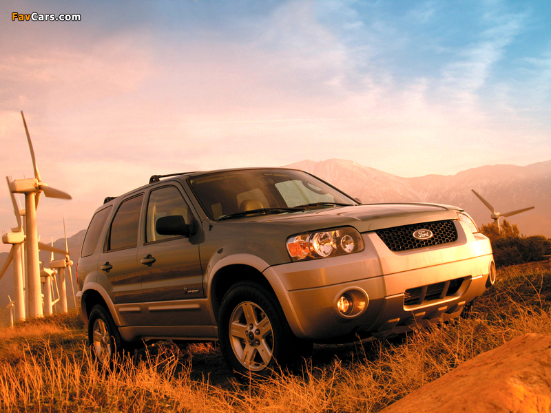 Ford Escape Hybrid 2004–07 wallpapers (800 x 600)