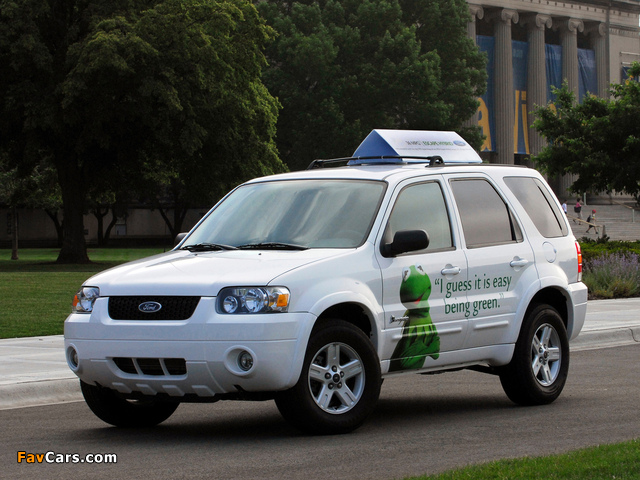 Ford Escape Hybrid Taxi 2005–07 wallpapers (640 x 480)
