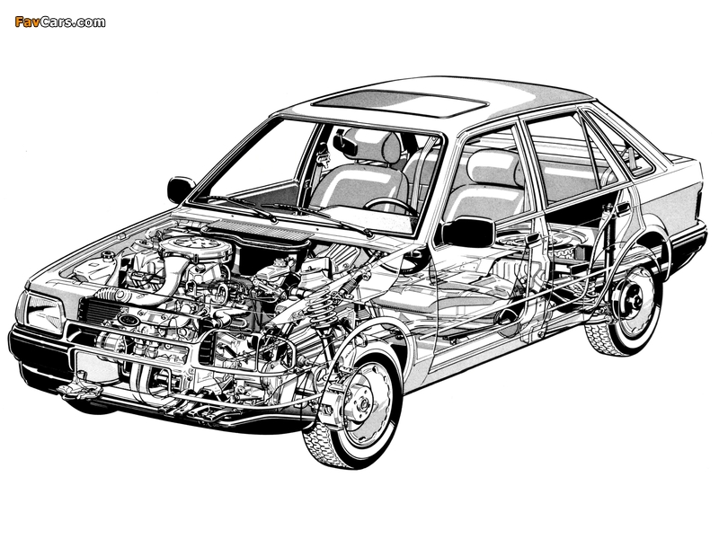 Ford Escort 5-door Hatchback 1986–90 pictures (800 x 600)