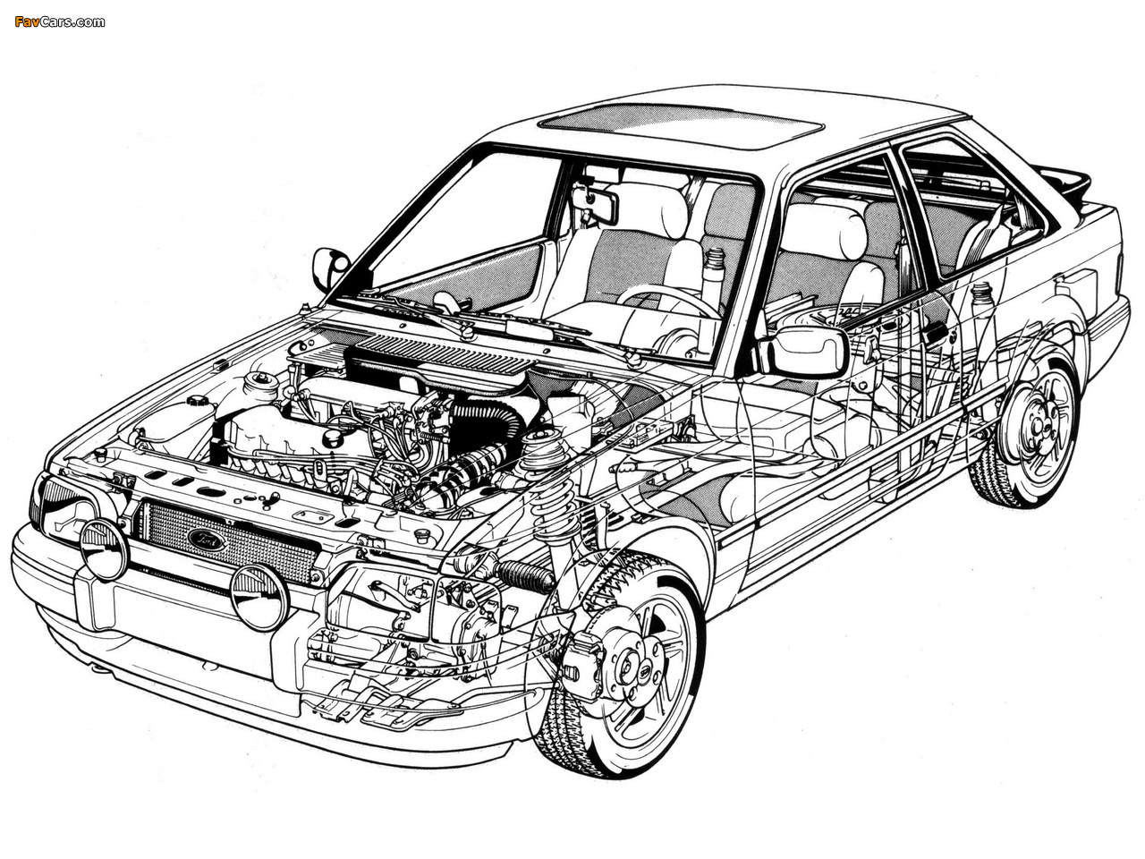 Pictures of Ford Escort XR3i 1986–89 (1280 x 960)