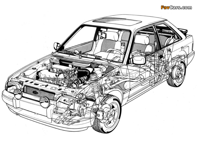 Pictures of Ford Escort XR3i 1986–89 (640 x 480)