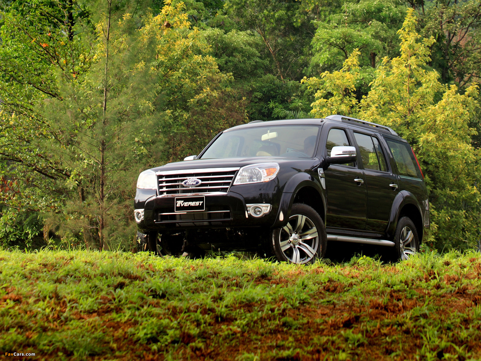 Pictures of Ford Everest 2009 (1600 x 1200)