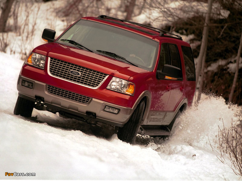 Photos of Ford Expedition 2003–06 (800 x 600)