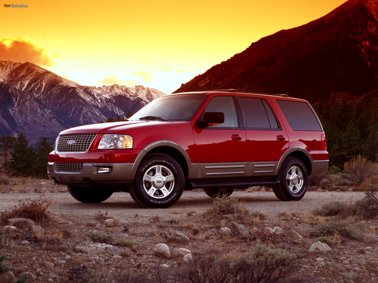 Pictures of Ford Expedition 2003–06 (1600 x 1200)