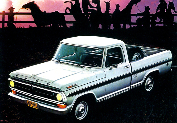 Ford F-100 BR-spec 1981 photos