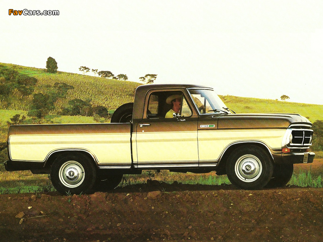 Ford F-100 BR-spec 1982 pictures (640 x 480)
