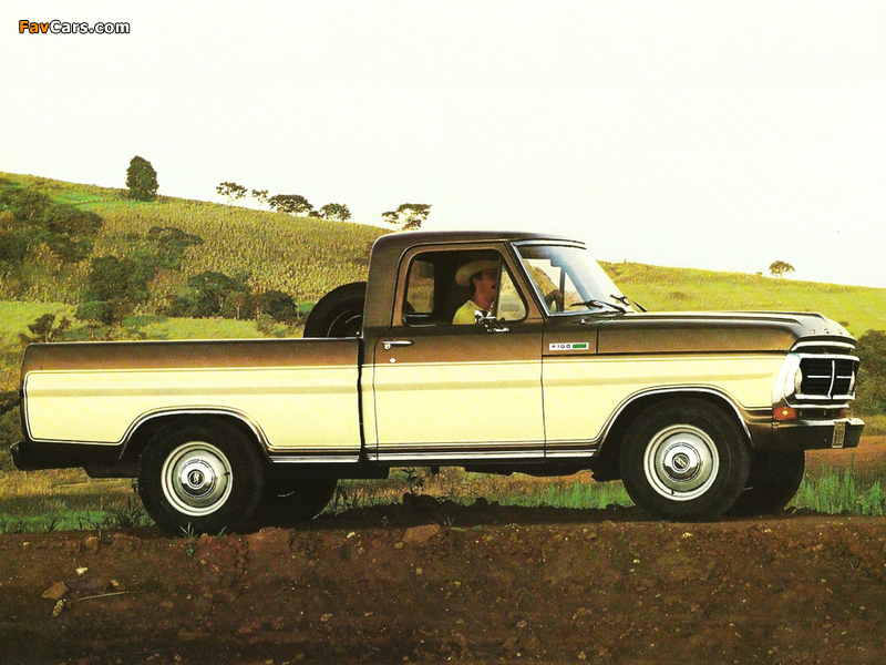 Ford F-100 BR-spec 1982 pictures (800 x 600)