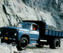 Ford F-11000 1981–85 images