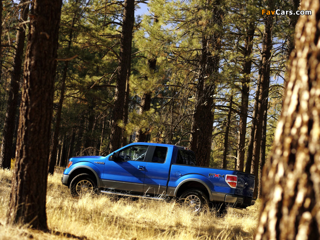 Ford F-150 FX4 2008–11 images (640 x 480)