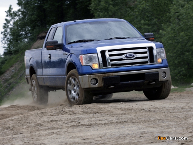 Ford F-150 XLT 2008–11 images (640 x 480)