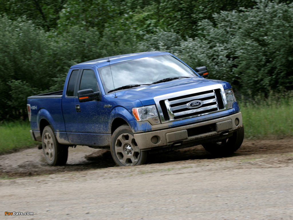 Ford F-150 XLT 2008–11 photos (1024 x 768)