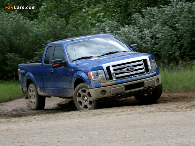 Ford F-150 XLT 2008–11 photos (640 x 480)