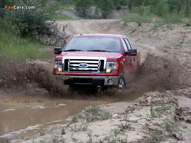 Ford F-150 XLT SuperCrew 2008–11 wallpapers (640 x 480)