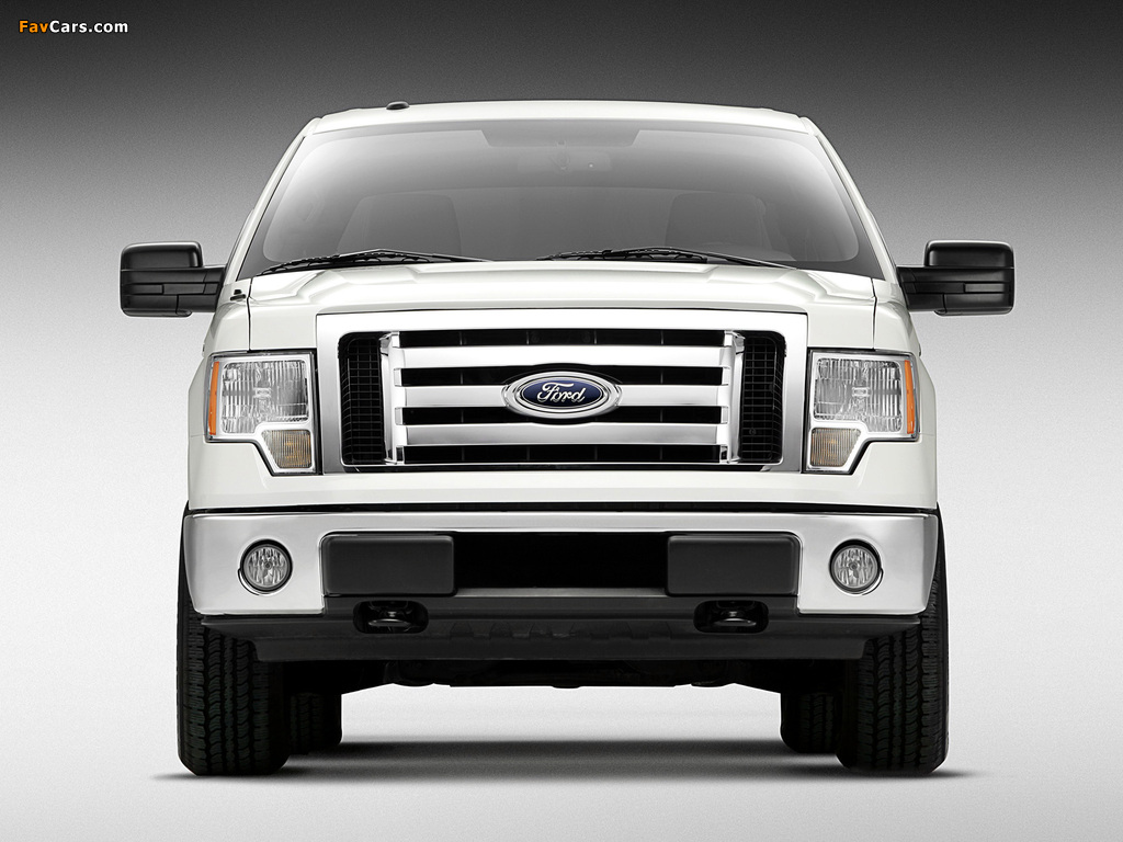 Ford F-150 XLT SuperCrew 2008–11 wallpapers (1024 x 768)