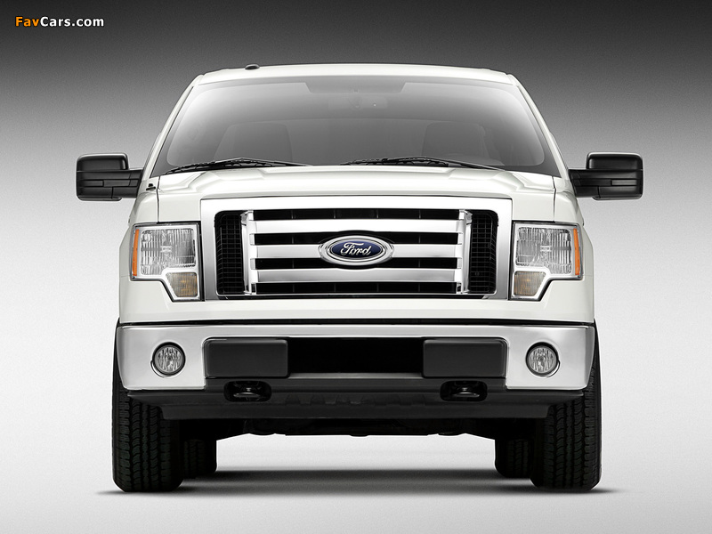 Ford F-150 XLT SuperCrew 2008–11 wallpapers (800 x 600)