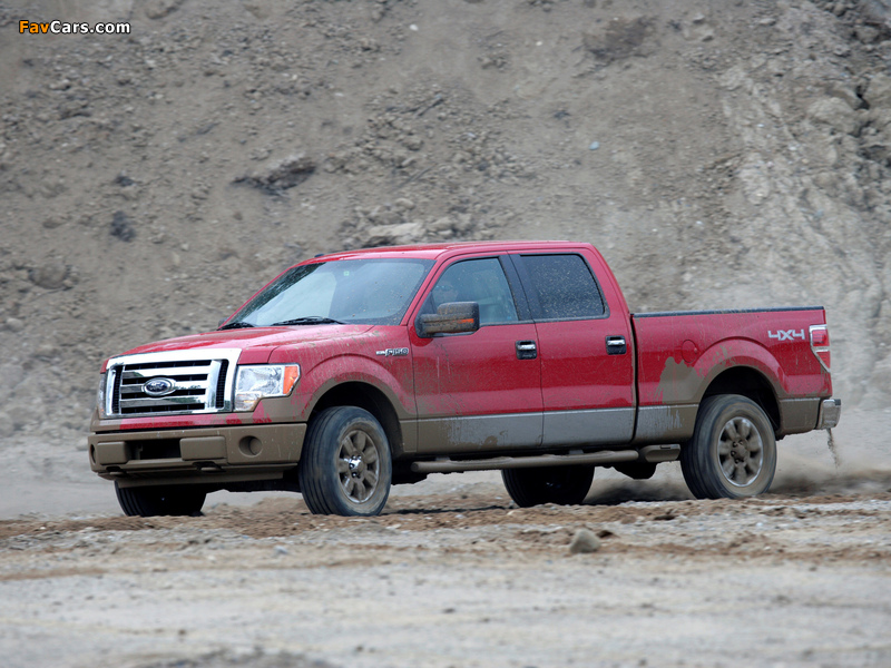 Ford F-150 XLT SuperCrew 2008–11 wallpapers (800 x 600)