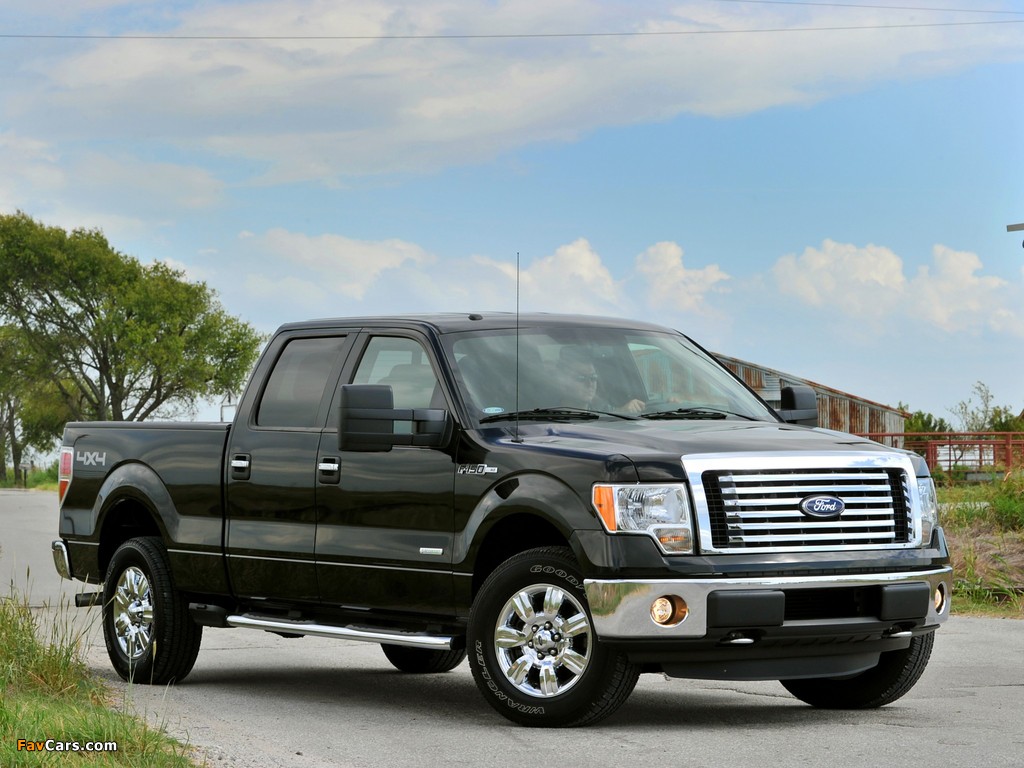 Ford F-150 EcoBoost SuperCrew 2010–12 images (1024 x 768)