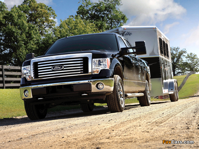 Ford F-150 XLT SuperCrew 2011–12 pictures (640 x 480)