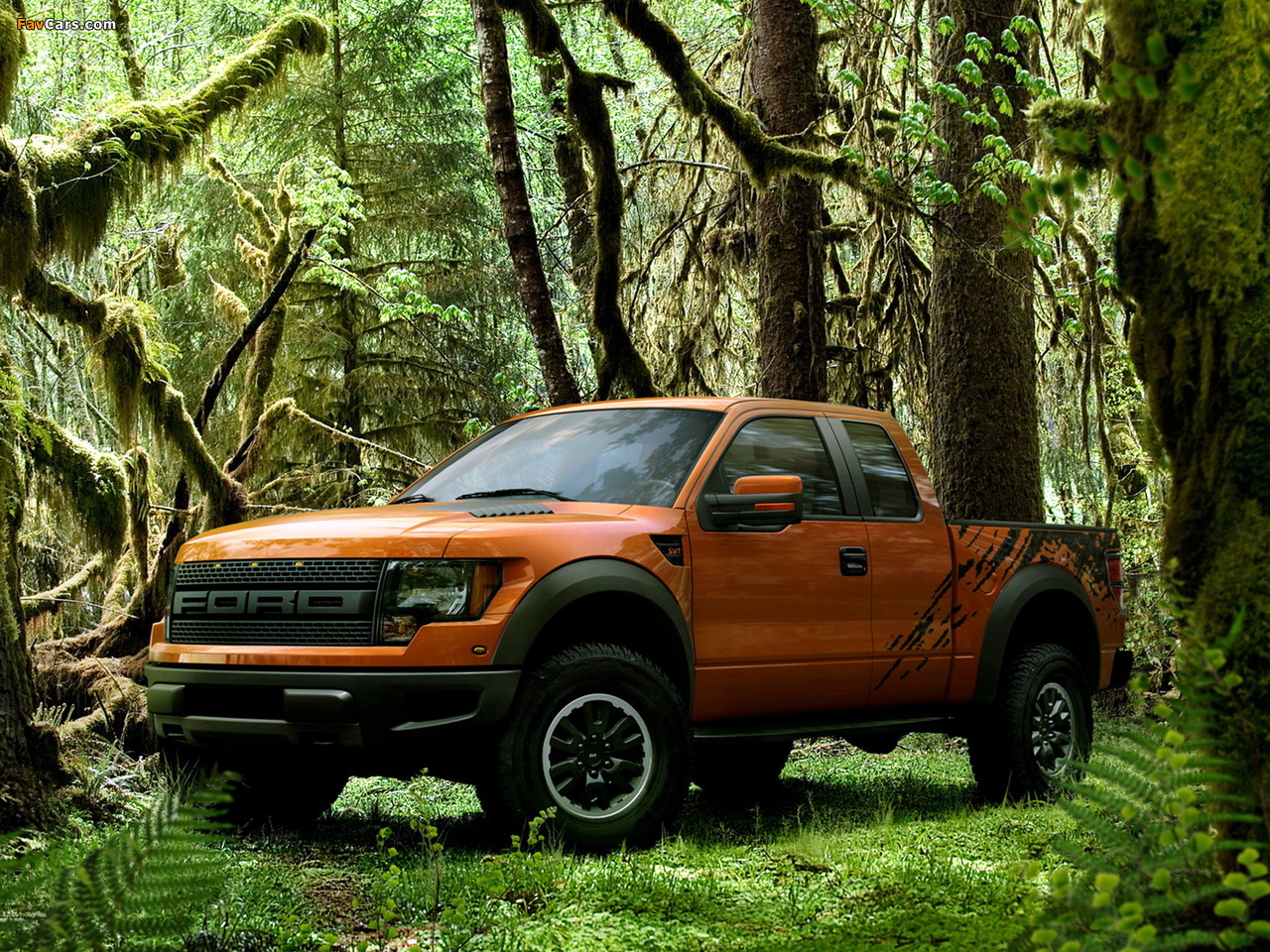 Ford F-150 SVT Raptor SuperCab 2011–12 wallpapers (1280 x 960)