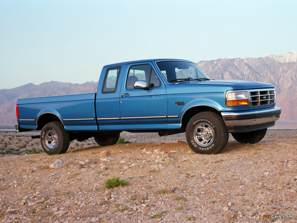 Images of Ford F-150 XLT 1992–96 (1024 x 768)