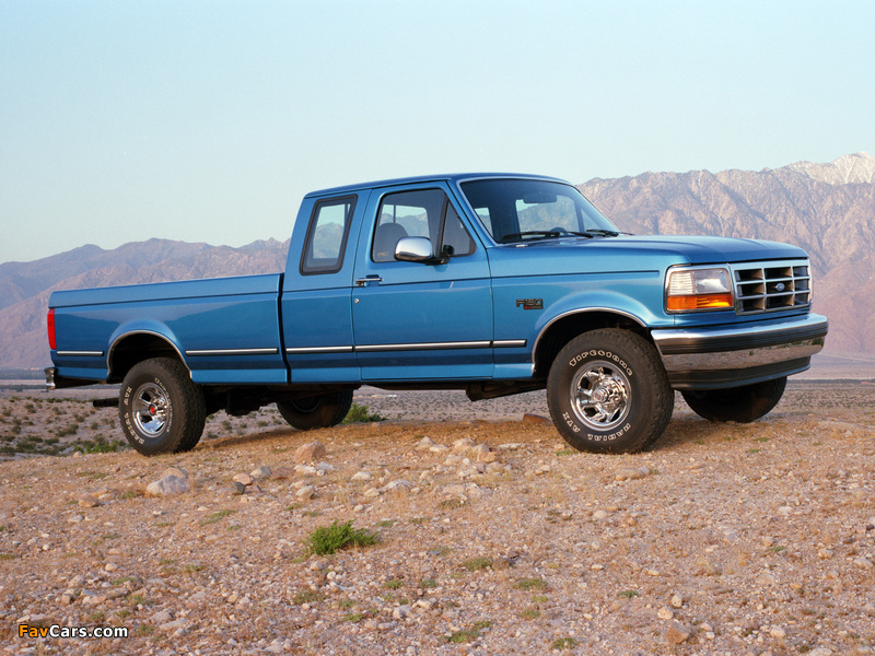 Images of Ford F-150 XLT 1992–96 (800 x 600)