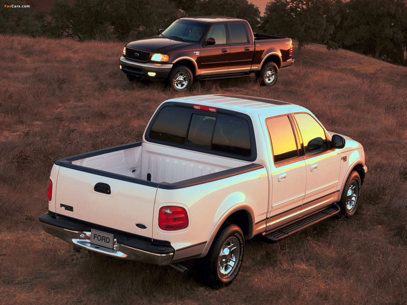 Images of Ford F-150 SuperCrew 1997–2003 (1600 x 1200)