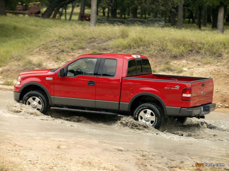 Images of Ford F-150 FX4 2004–05 (800 x 600)