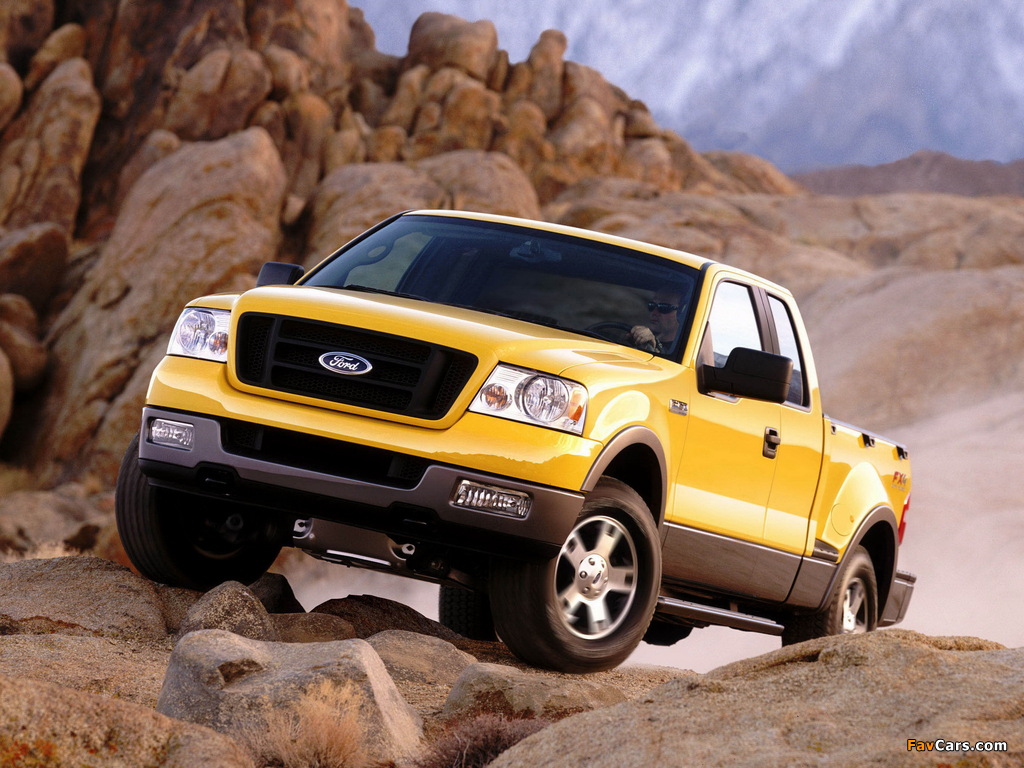 Images of Ford F-150 FX4 2004–05 (1024 x 768)