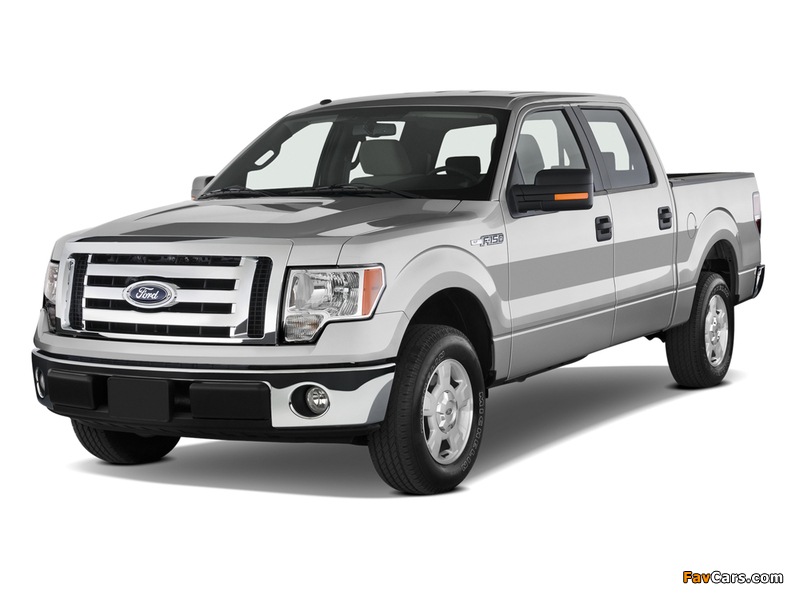 Images of Ford F-150 XLT SuperCrew 2008–11 (800 x 600)