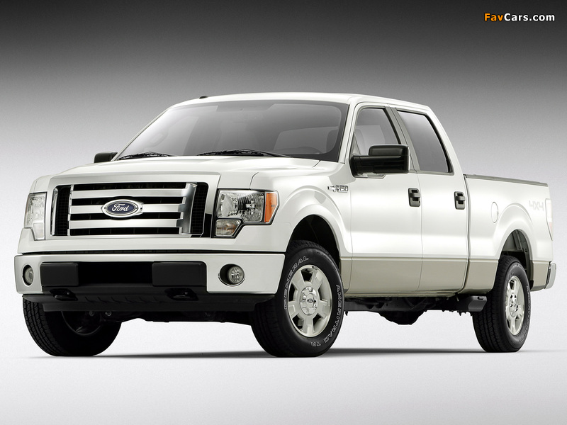 Images of Ford F-150 XLT SuperCrew 2008–11 (800 x 600)