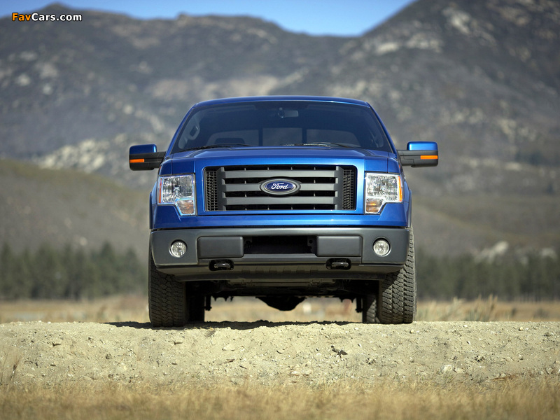 Images of Ford F-150 FX4 2008–11 (800 x 600)