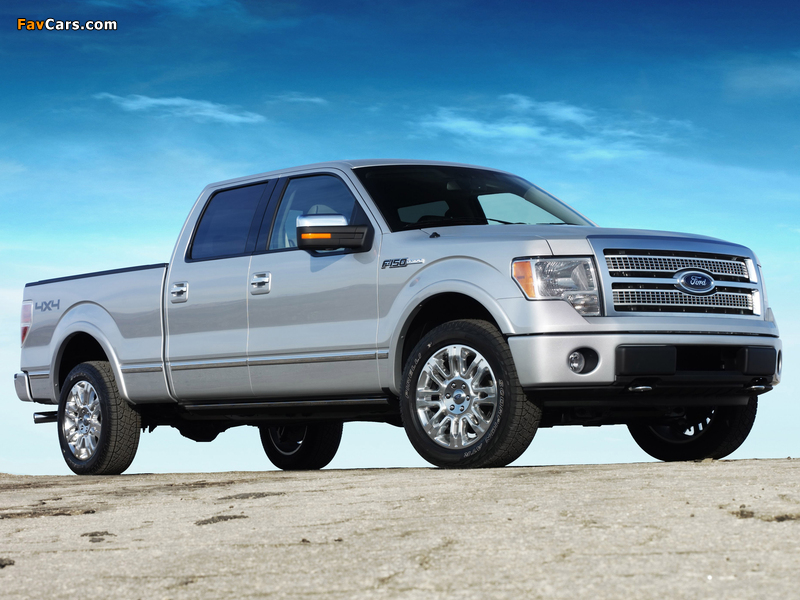 Images of Ford F-150 Platinum 2008–11 (800 x 600)