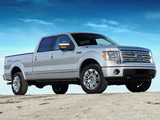 Images of Ford F-150 Platinum 2008–11