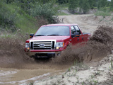 Images of Ford F-150 XLT SuperCrew 2008–11