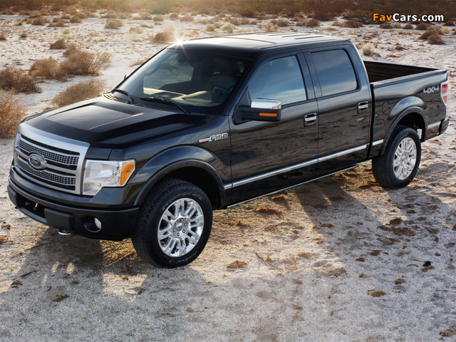 Images of Ford F-150 Platinum 2008–11 (640 x 480)