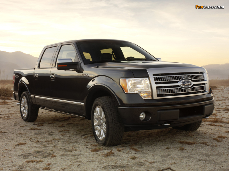 Images of Ford F-150 Platinum 2008–11 (800 x 600)