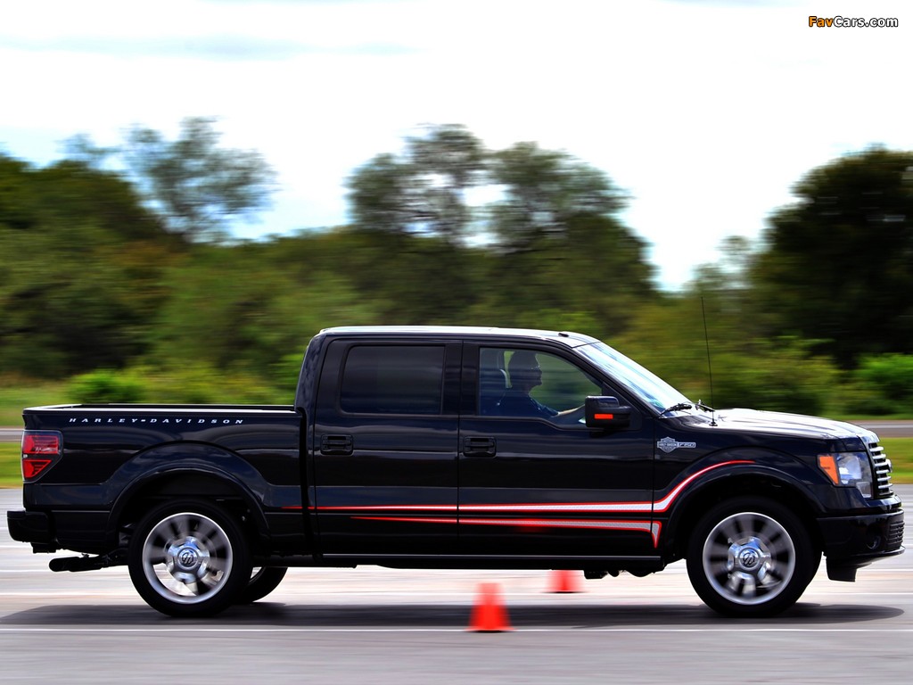 Images of Ford F-150 Harley-Davidson 2010 (1024 x 768)