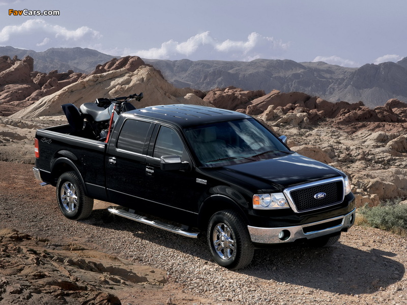 Photos of Ford F-150 SuperCrew 2006–08 (800 x 600)